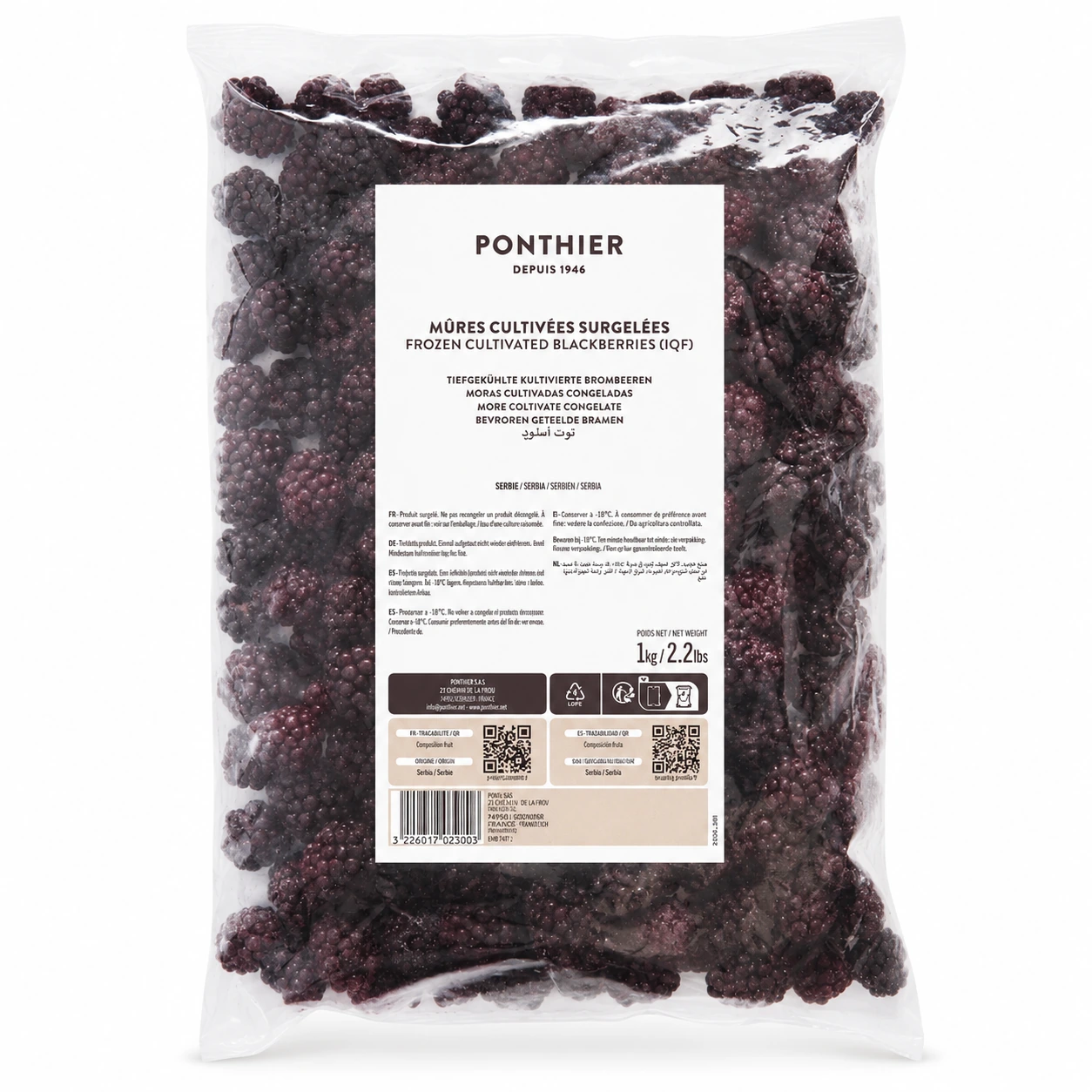 Ponthier Blackberry IQF Fruit